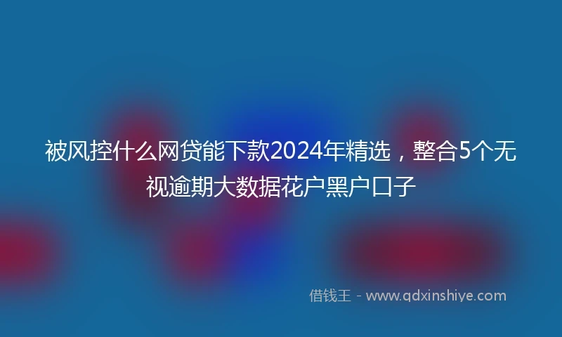 被风控什么网贷能下款2024年精选，整合5个无视逾期大数据花户黑户口子