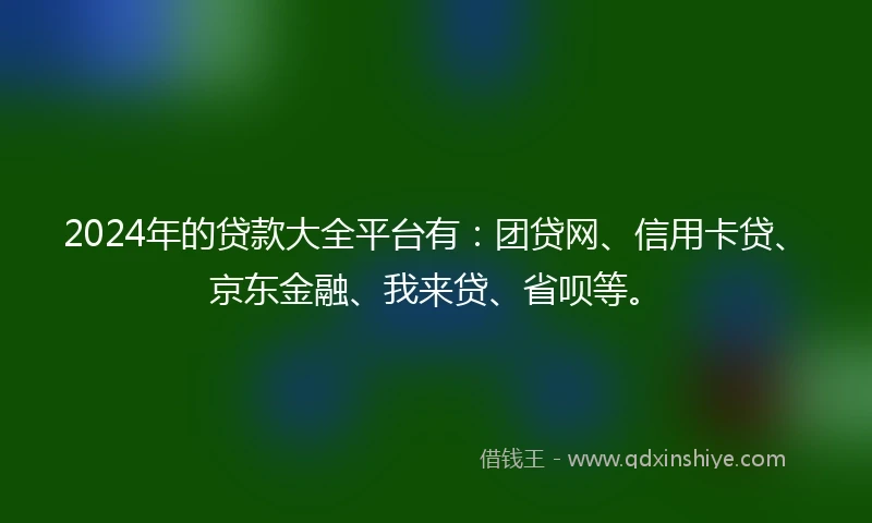 2024年的贷款大全平台有：团贷网、信用卡贷、京东金融、我来贷、省呗等。