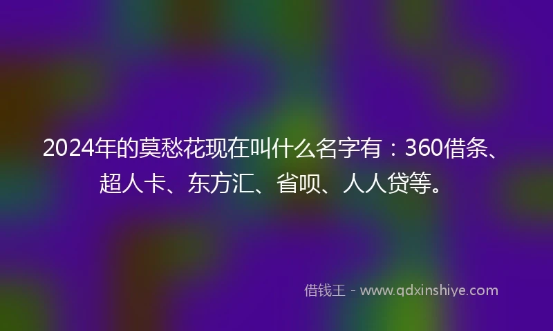 2024年的莫愁花现在叫什么名字有：360借条、超人卡、东方汇、省呗、人人贷等。