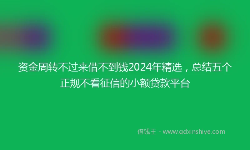 资金周转不过来借不到钱2024年精选，总结五个正规不看征信的小额贷款平台