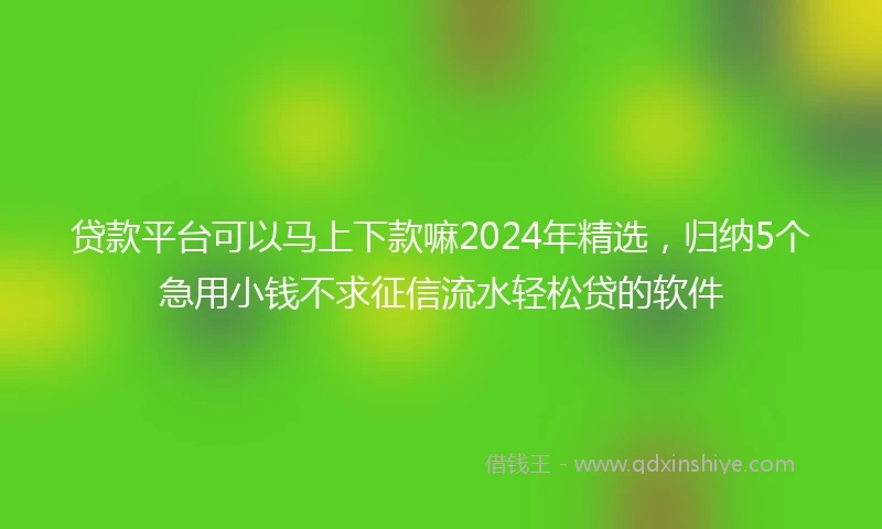 贷款平台可以马上下款嘛2024年精选，归纳5个急用小钱不求征信流水轻松贷的软件