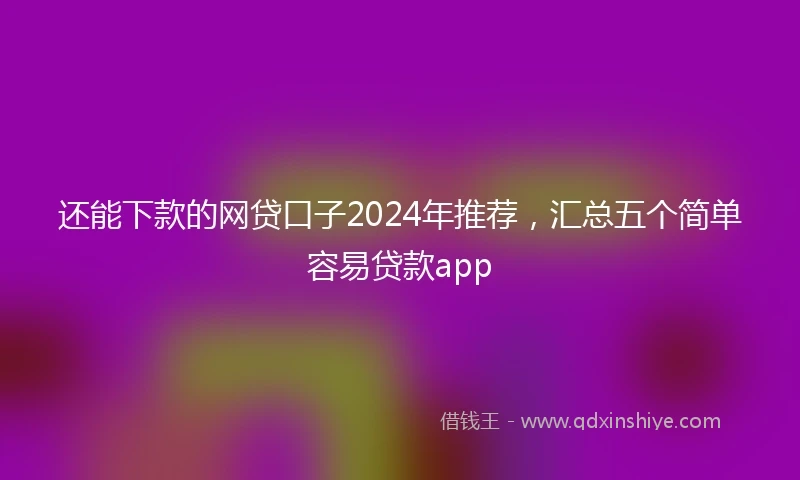 还能下款的网贷口子2024年推荐，汇总五个简单容易贷款app