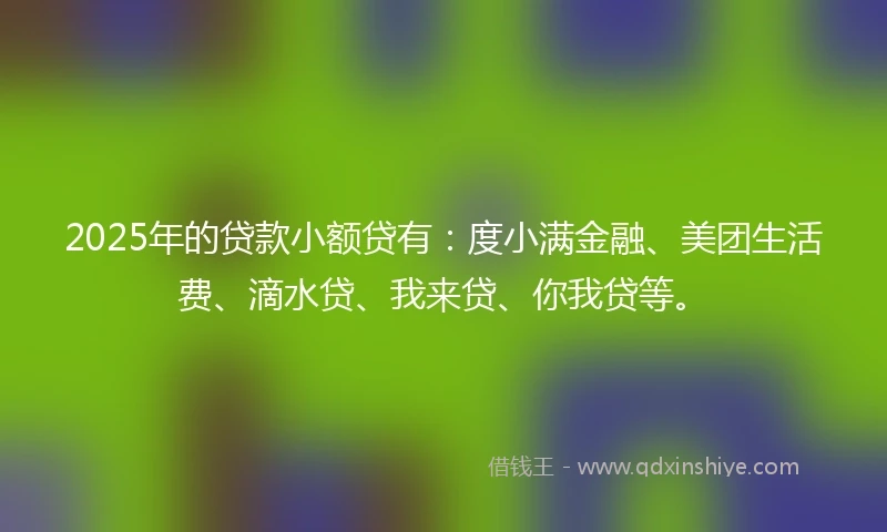 2025年的贷款小额贷有：度小满金融、美团生活费、滴水贷、我来贷、你我贷等。