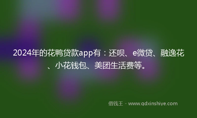 2024年的花鸭贷款app有：还呗、e微贷、融逸花、小花钱包、美团生活费等。