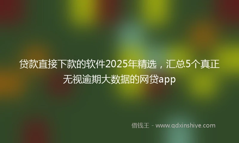 贷款直接下款的软件2025年精选，汇总5个真正无视逾期大数据的网贷app