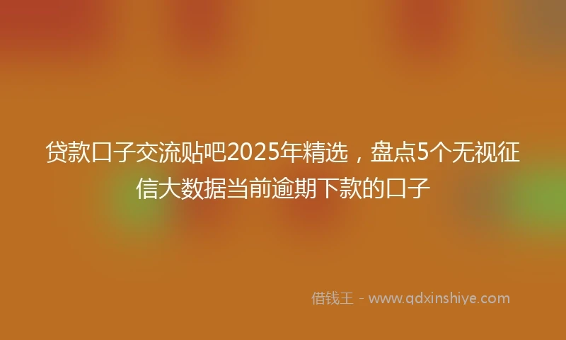 贷款口子交流贴吧2025年精选，盘点5个无视征信大数据当前逾期下款的口子