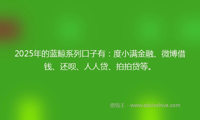 2025年的蓝鲸系列口子有：度小满金融、微博借钱、还呗、人人贷、拍拍贷等。