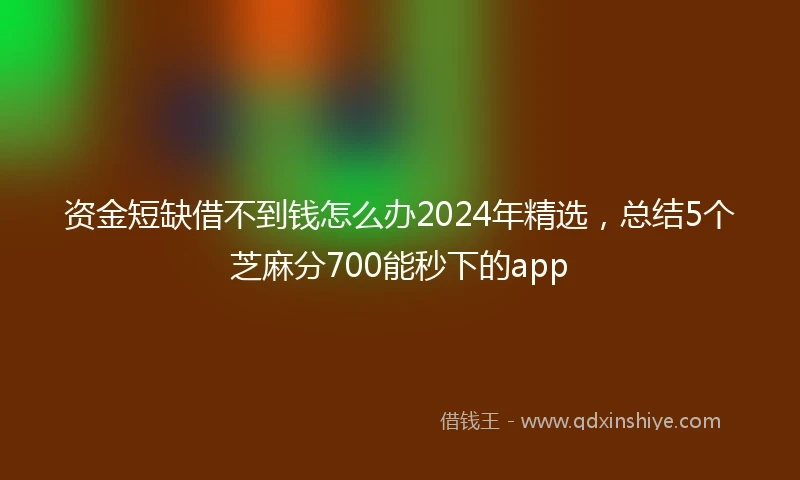 资金短缺借不到钱怎么办2024年精选，总结5个芝麻分700能秒下的app