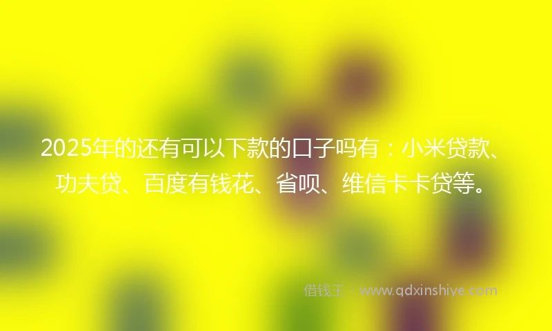 2025年的还有可以下款的口子吗有：小米贷款、功夫贷、百度有钱花、省呗、维信卡卡贷等。