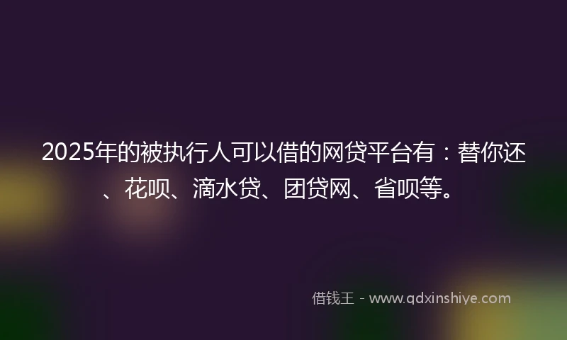2025年的被执行人可以借的网贷平台有：替你还、花呗、滴水贷、团贷网、省呗等。