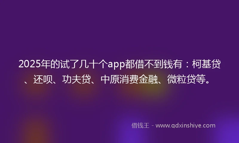 2025年的试了几十个app都借不到钱有：柯基贷、还呗、功夫贷、中原消费金融、微粒贷等。