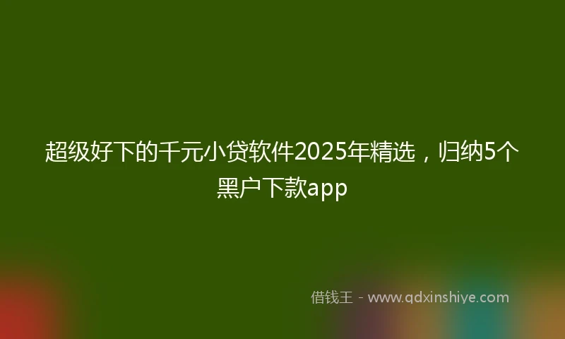 超级好下的千元小贷软件2025年精选，归纳5个黑户下款app