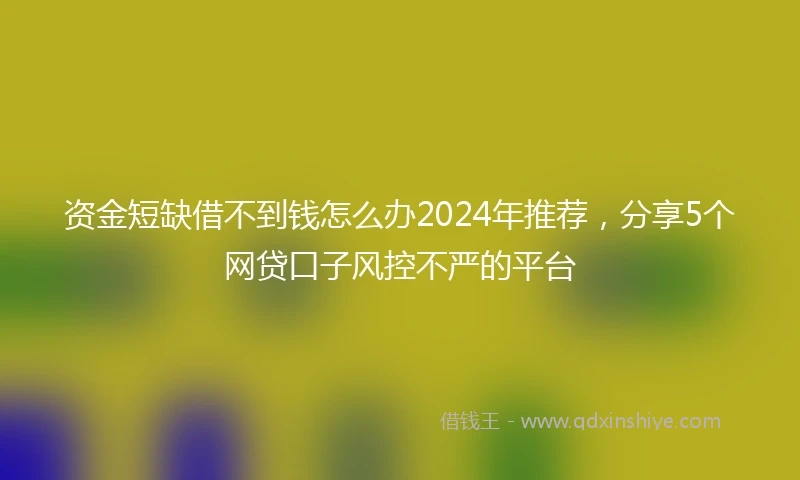 资金短缺借不到钱怎么办2024年推荐，分享5个网贷口子风控不严的平台