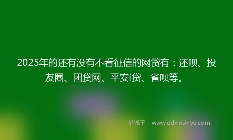 2025年的还有没有不看征信的网贷有：还呗、投友圈、团贷网、平安i贷、省呗等。