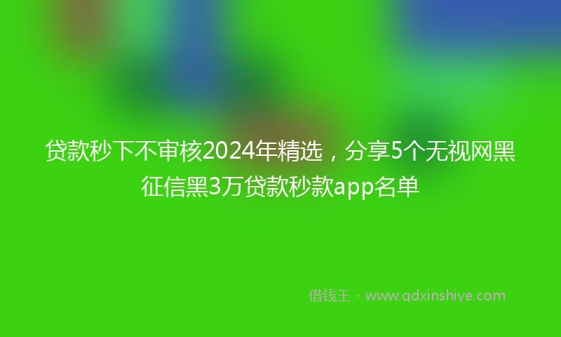 贷款秒下不审核2024年精选，分享5个无视网黑征信黑3万贷款秒款app名单