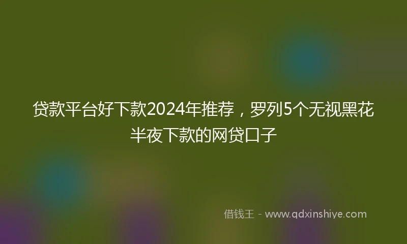 贷款平台好下款2024年推荐，罗列5个无视黑花半夜下款的网贷口子