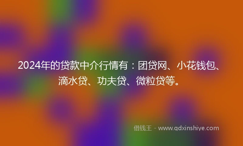 2024年的贷款中介行情有：团贷网、小花钱包、滴水贷、功夫贷、微粒贷等。