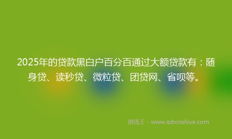 2025年的贷款黑白户百分百通过大额贷款有：随身贷、读秒贷、微粒贷、团贷网、省呗等。