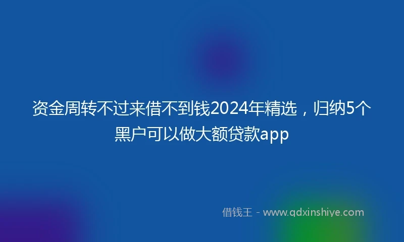 资金周转不过来借不到钱2024年精选，归纳5个黑户可以做大额贷款app