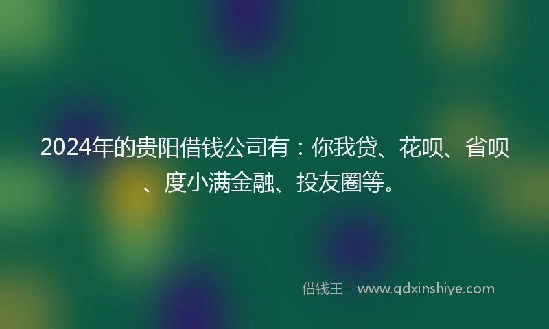 2024年的贵阳借钱公司有：你我贷、花呗、省呗、度小满金融、投友圈等。