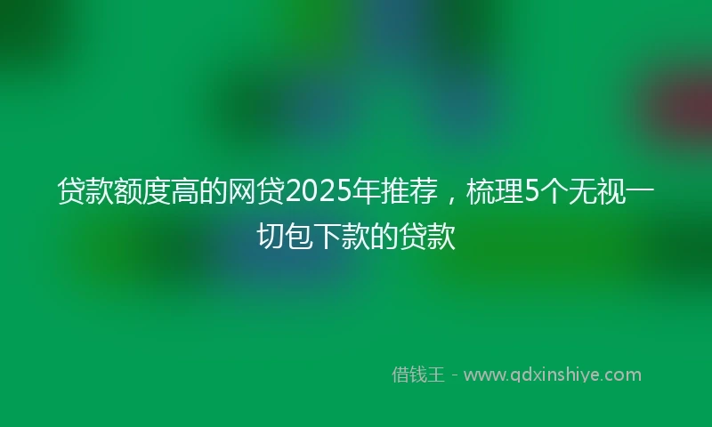 贷款额度高的网贷2025年推荐，梳理5个无视一切包下款的贷款