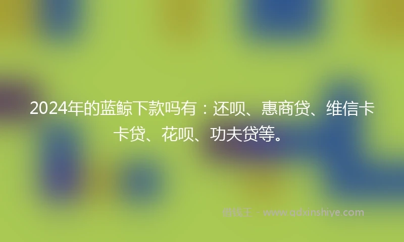 2024年的蓝鲸下款吗有：还呗、惠商贷、维信卡卡贷、花呗、功夫贷等。
