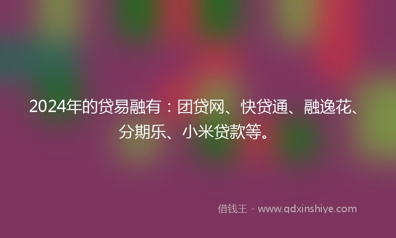 2024年的贷易融有：团贷网、快贷通、融逸花、分期乐、小米贷款等。