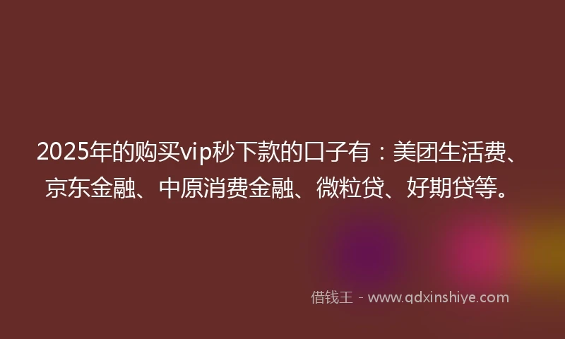 2025年的购买vip秒下款的口子有：美团生活费、京东金融、中原消费金融、微粒贷、好期贷等。