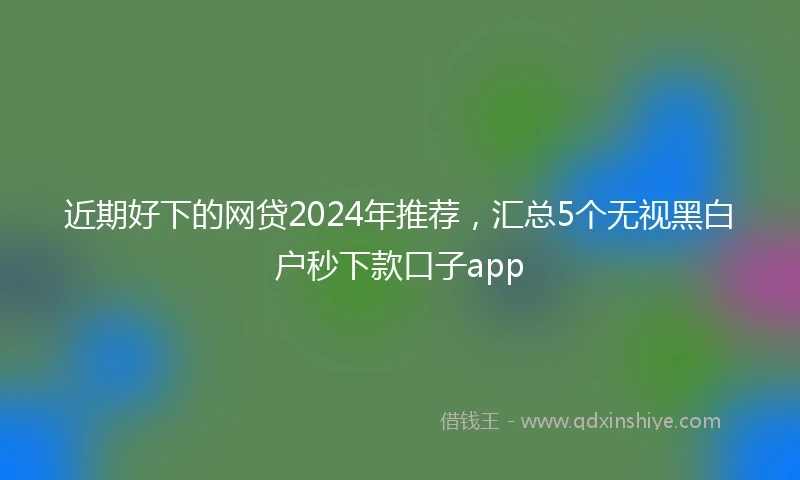 近期好下的网贷2024年推荐,汇总5个无视黑白户秒下款口子app