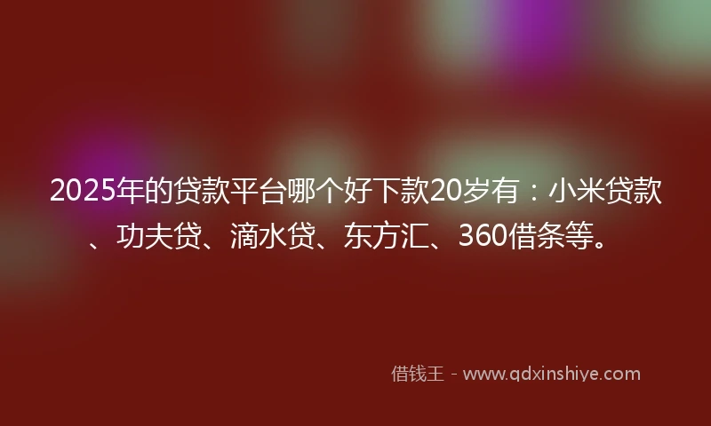 2025年的贷款平台哪个好下款20岁有：小米贷款、功夫贷、滴水贷、东方汇、360借条等。