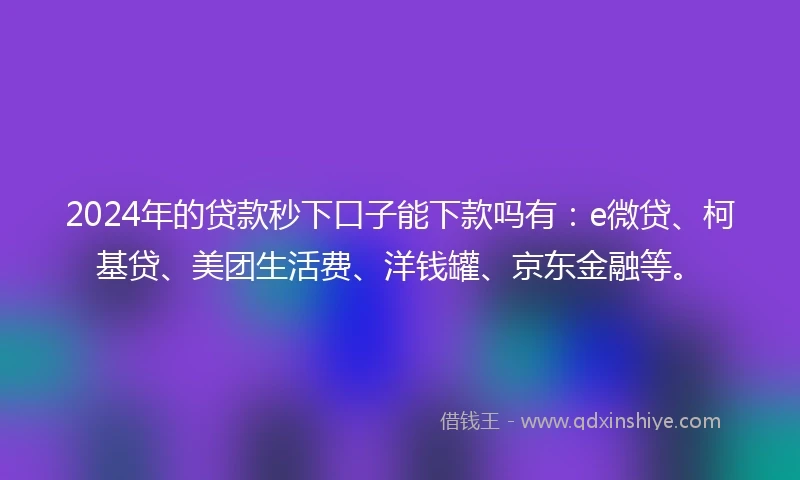 2024年的贷款秒下口子能下款吗有：e微贷、柯基贷、美团生活费、洋钱罐、京东金融等。