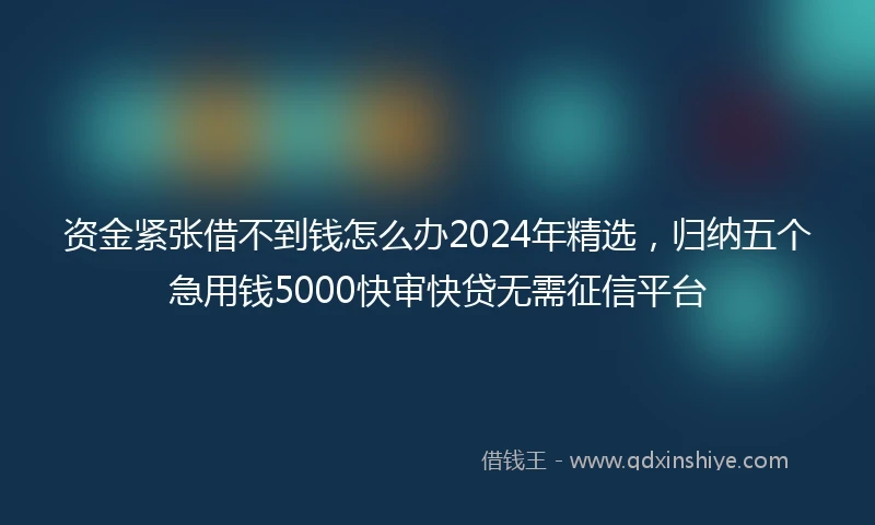 资金紧张借不到钱怎么办2024年精选，归纳五个急用钱5000快审快贷无需征信平台