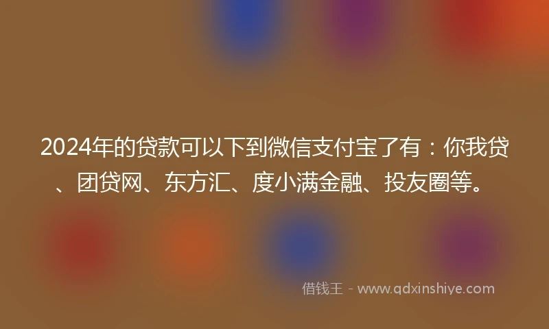 2024年的贷款可以下到微信支付宝了有：你我贷、团贷网、东方汇、度小满金融、投友圈等。
