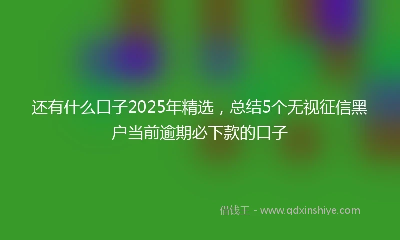 还有什么口子2025年精选，总结5个无视征信黑户当前逾期必下款的口子