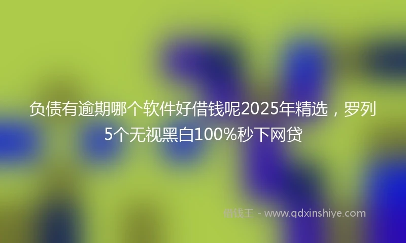 负债有逾期哪个软件好借钱呢2025年精选，罗列5个无视黑白100%秒下网贷