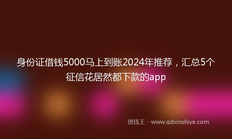 身份证借钱5000马上到账2024年推荐，汇总5个征信花居然都下款的app