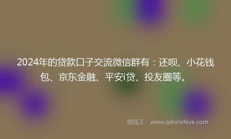 2024年的贷款口子交流微信群有：还呗、小花钱包、京东金融、平安i贷、投友圈等。