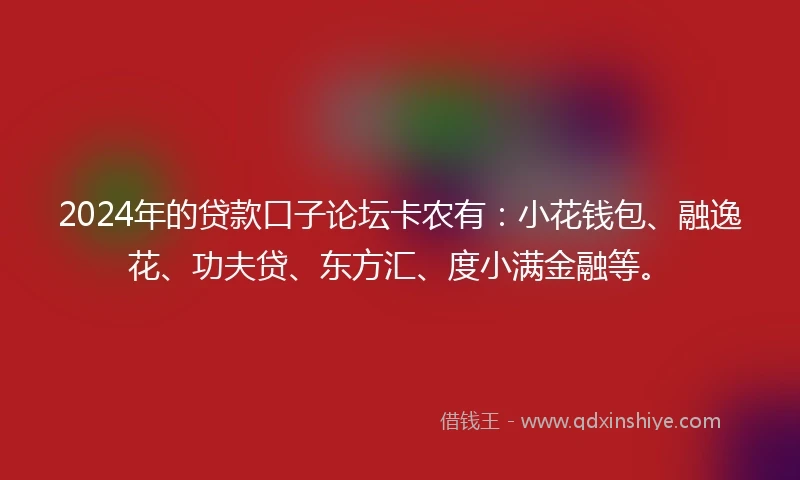 2024年的贷款口子论坛卡农有：小花钱包、融逸花、功夫贷、东方汇、度小满金融等。