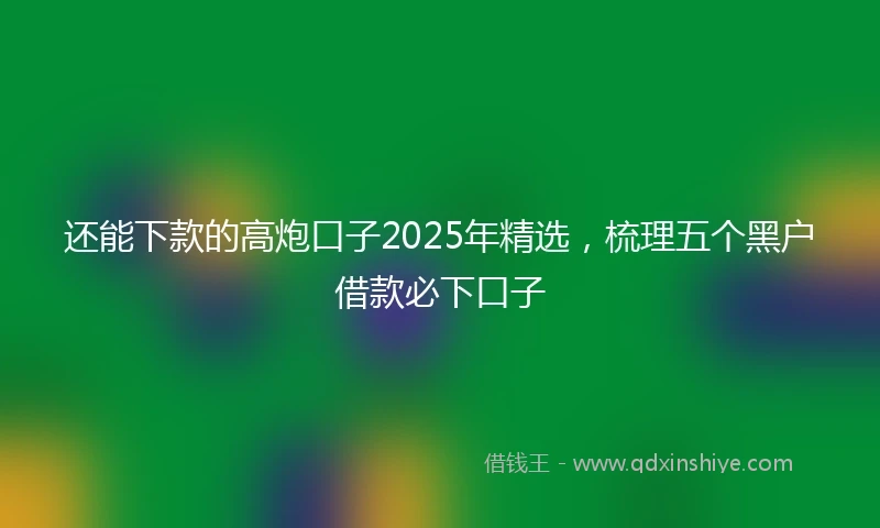 还能下款的高炮口子2025年精选，梳理五个黑户借款必下口子