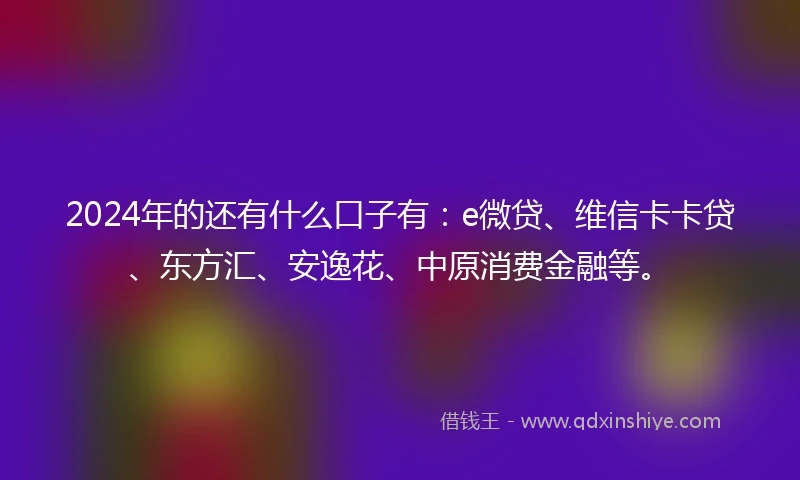 2024年的还有什么口子有：e微贷、维信卡卡贷、东方汇、安逸花、中原消费金融等。