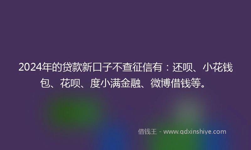 2024年的贷款新口子不查征信有：还呗、小花钱包、花呗、度小满金融、微博借钱等。