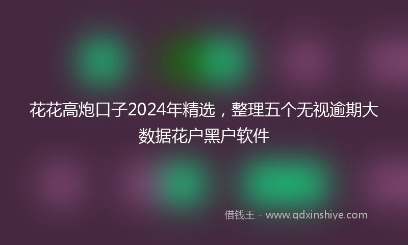 花花高炮口子2024年精选，整理五个无视逾期大数据花户黑户软件
