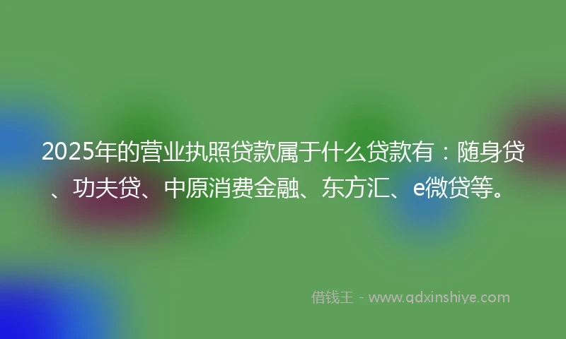 2025年的营业执照贷款属于什么贷款有：随身贷、功夫贷、中原消费金融、东方汇、e微贷等。