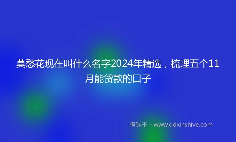 莫愁花现在叫什么名字2024年精选，梳理五个11月能贷款的口子
