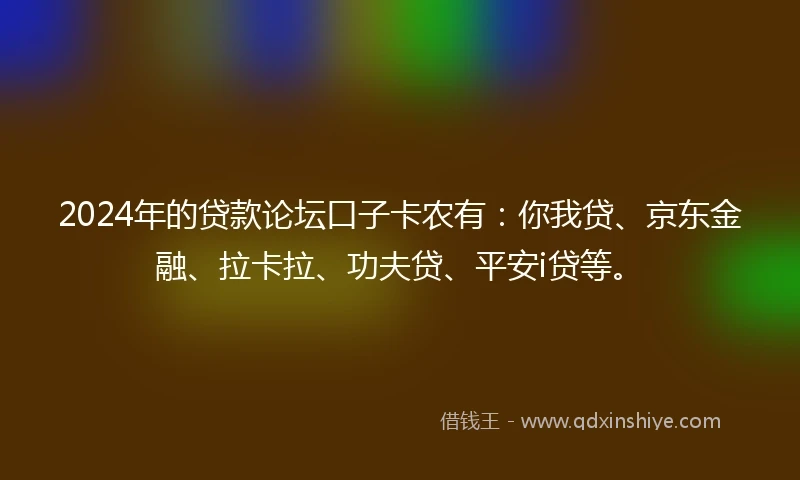 2024年的贷款论坛口子卡农有：你我贷、京东金融、拉卡拉、功夫贷、平安i贷等。