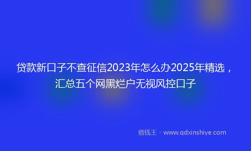 贷款新口子不查征信2023年怎么办2025年精选，汇总五个网黑烂户无视风控口子