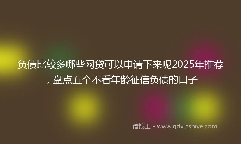 负债比较多哪些网贷可以申请下来呢2025年推荐，盘点五个不看年龄征信负债的口子