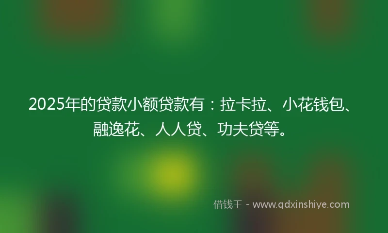 2025年的贷款小额贷款有：拉卡拉、小花钱包、融逸花、人人贷、功夫贷等。