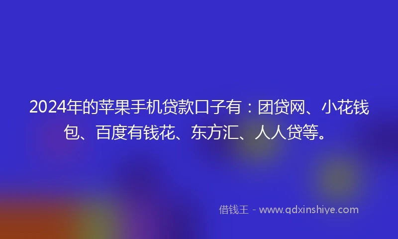 2024年的苹果手机贷款口子有：团贷网、小花钱包、百度有钱花、东方汇、人人贷等。