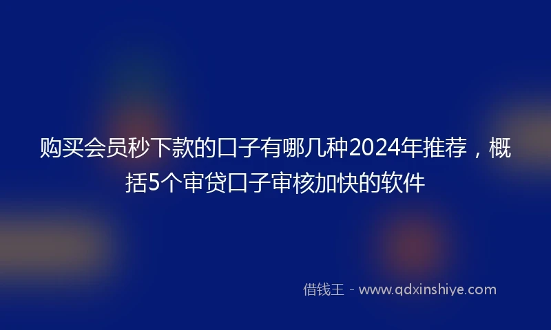 购买会员秒下款的口子有哪几种2024年推荐，概括5个审贷口子审核加快的软件